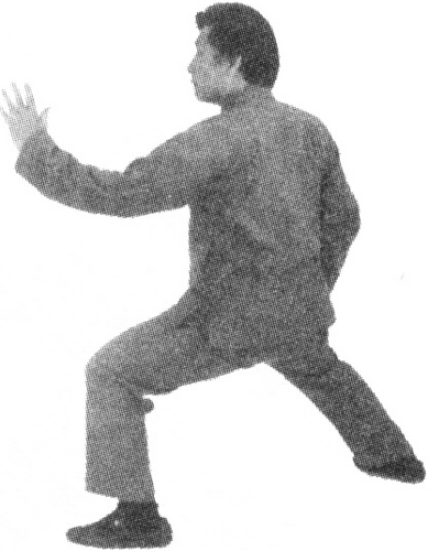 Figure 9-772