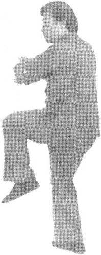 Figure 9-776