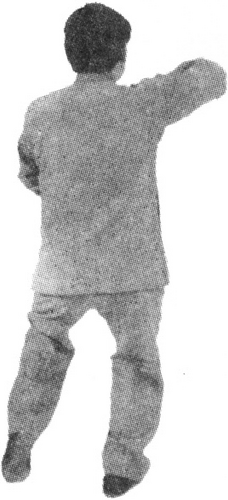 Figure 9-817