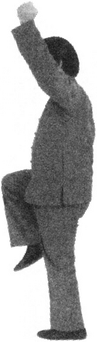 Figure 9-833