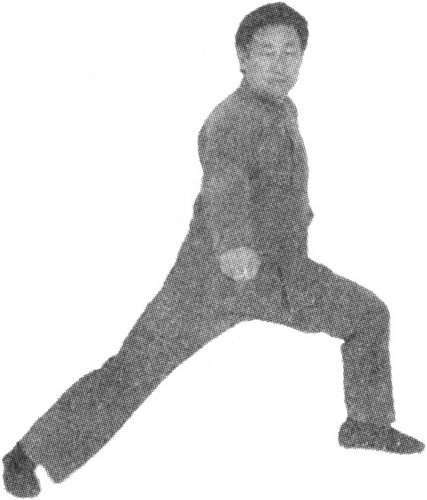 Figure 9-845 Appendix
