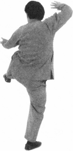 Figure 9-887