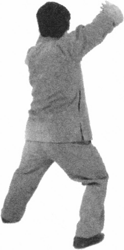 Figure 9-888