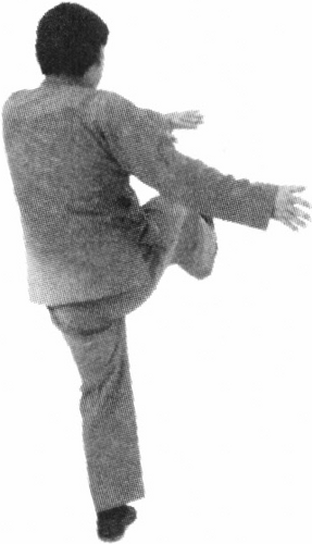 Figure 9-891