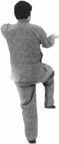 Figure 9-893
