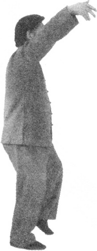 Figure 9-96