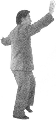 Figure 9-97